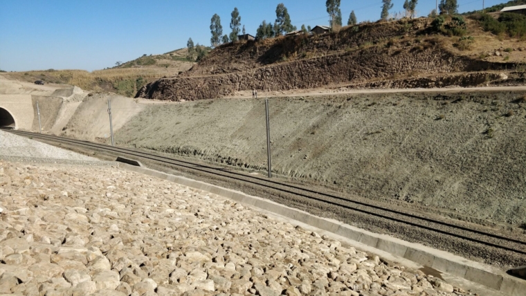 Gjelbërim i Shpateve