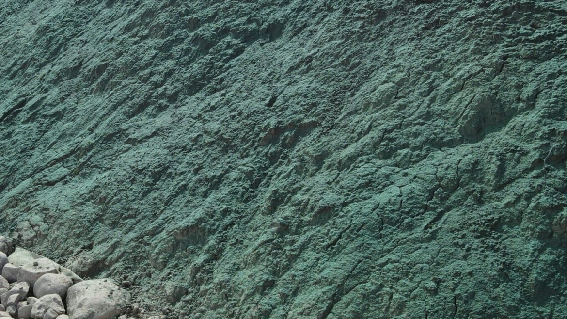 Digë dhe mbrojtje Bregdetare