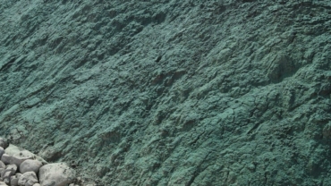 Digë dhe mbrojtje Bregdetare