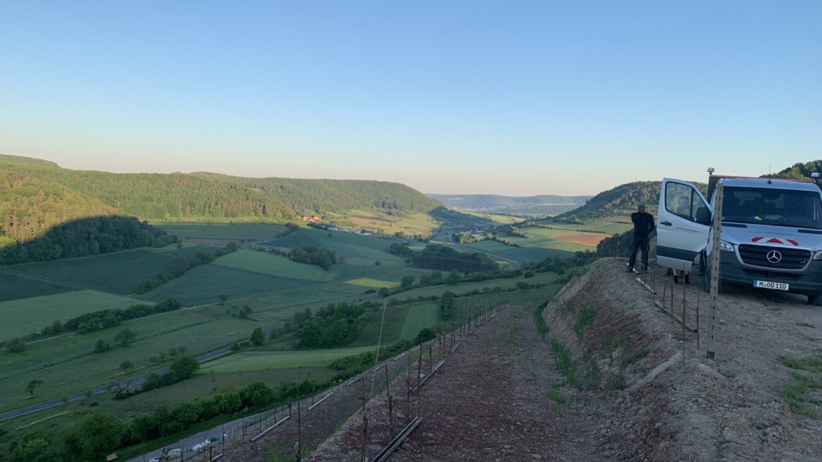 Gjelbërim i siperëfaqeve të vreshtave