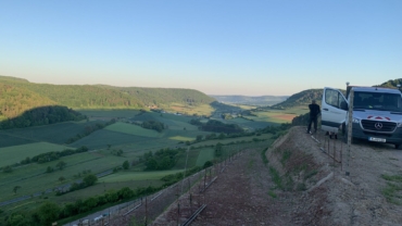 Gjelbërim i siperëfaqeve të vreshtave
