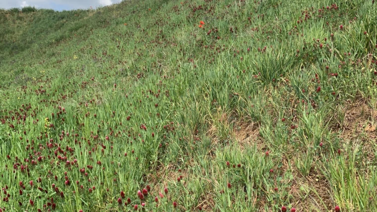 Alternativë ndaj gjeotekstileve