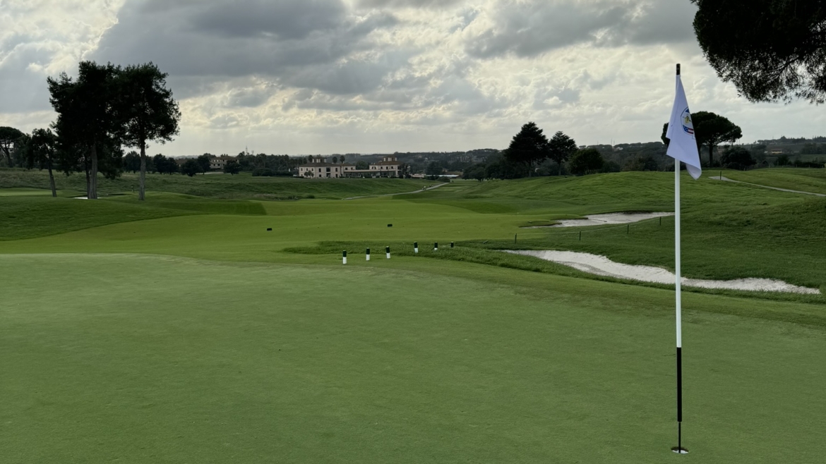 Rinovim i plotë i sipërfaqeve me bar sipas Sitemit Eco