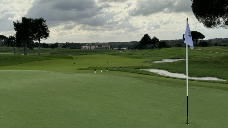 Rinovim i plotë i sipërfaqeve me bar sipas Sitemit Eco