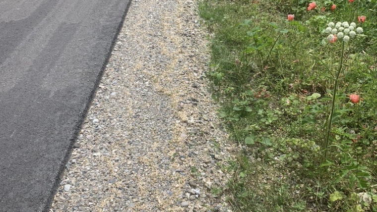 Gjelbërim Infrastrukturë