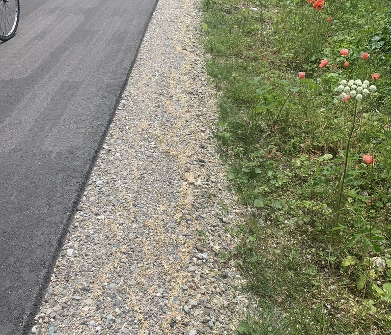 Gjelbërim Infrastrukturë