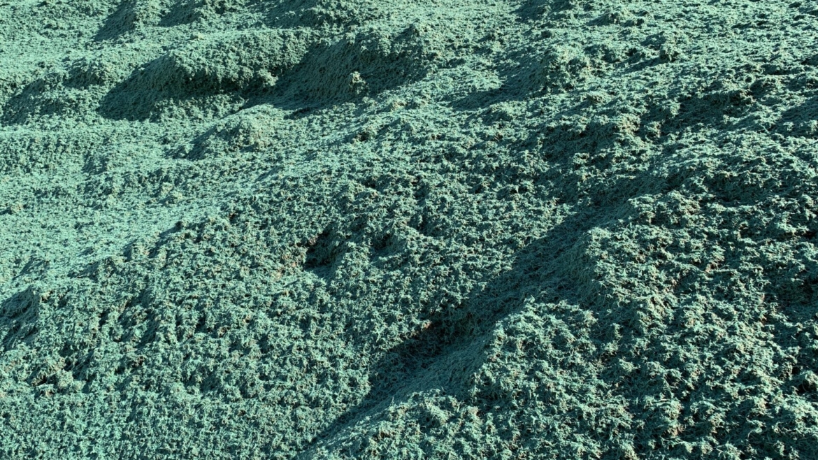 Mbrojta nga Erozioni