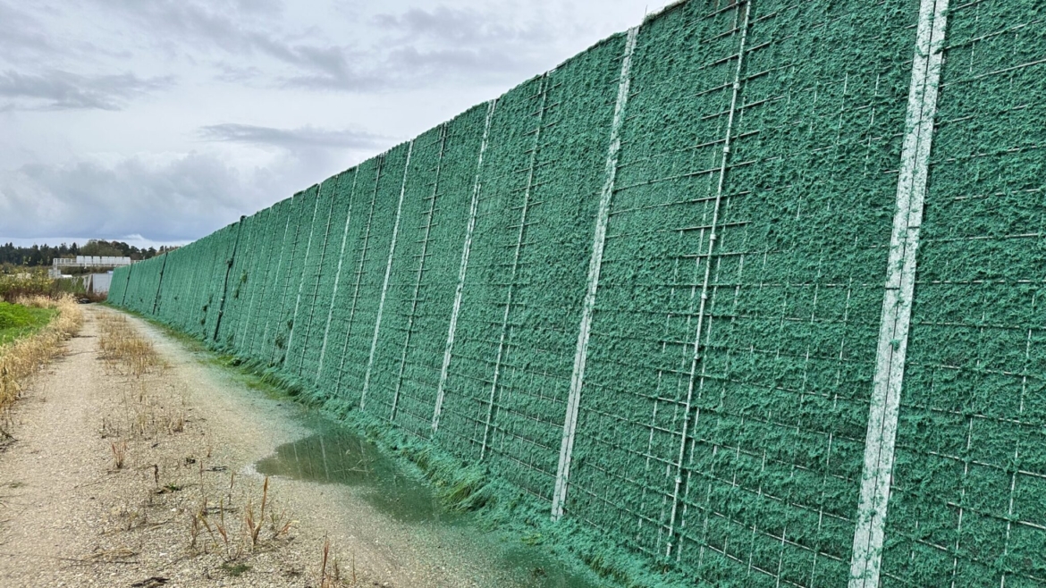 Gjelbërim i argjinaturave / mureve mbrojtëse