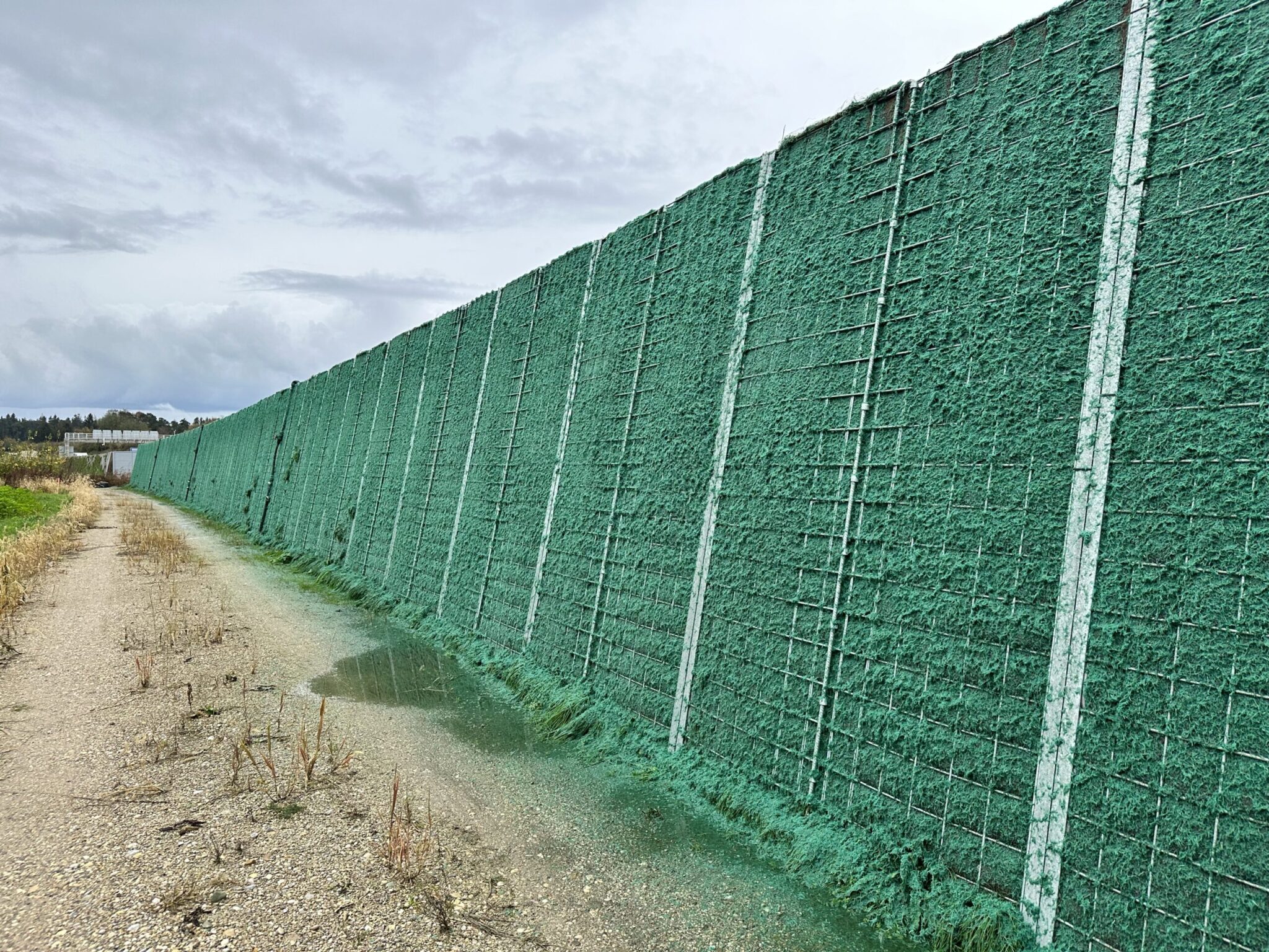 Wall-begruenen-2048x1536