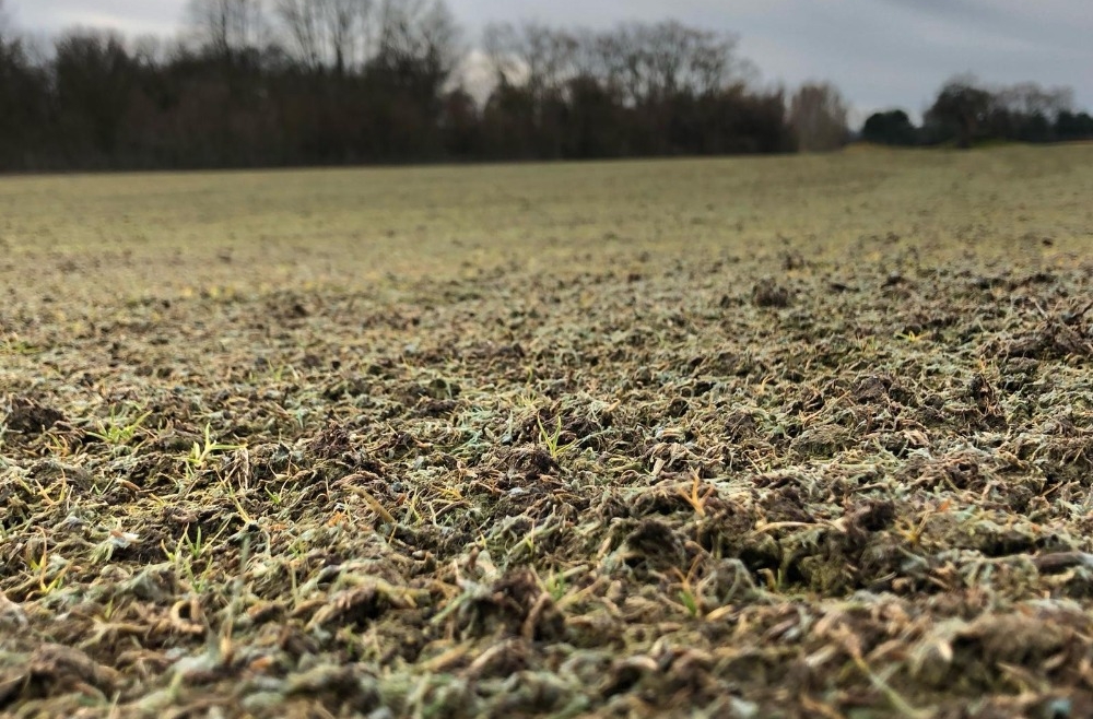 Gjelbërim i sipërfaqeve ekstreme