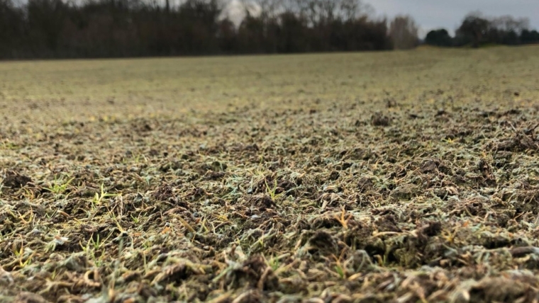 Gjelbërim i sipërfaqeve ekstreme